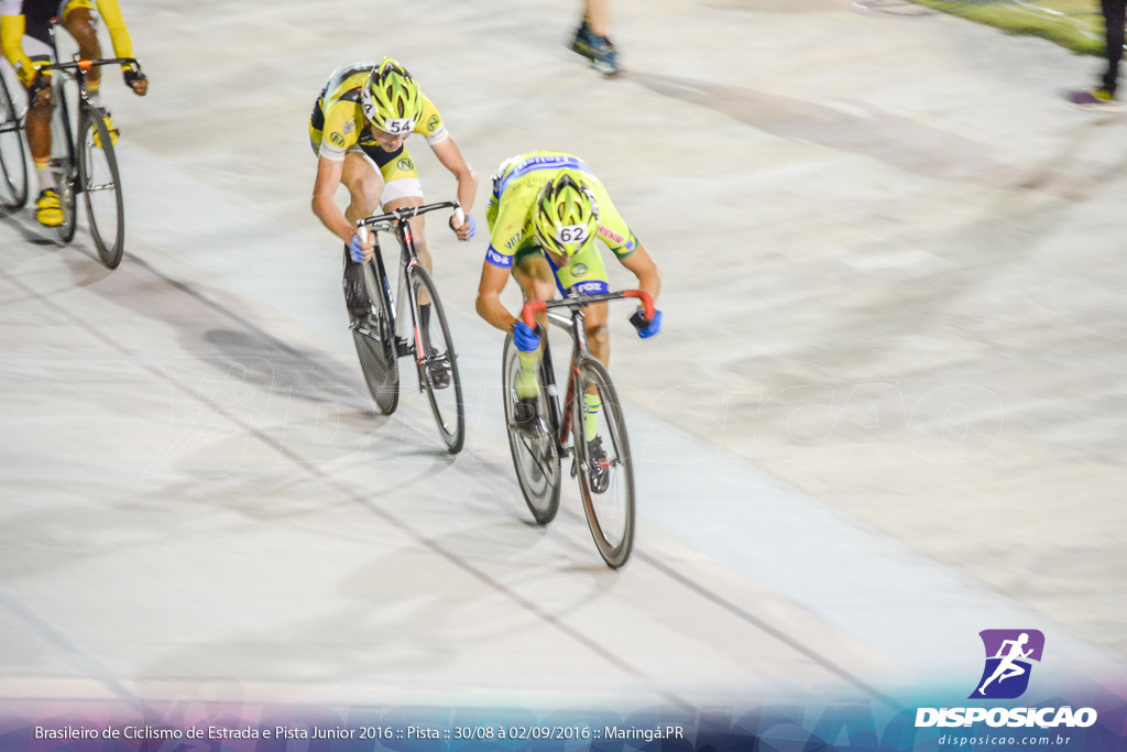 Pista :: Brasileiro de Ciclismo de Estrada e Pista 2016