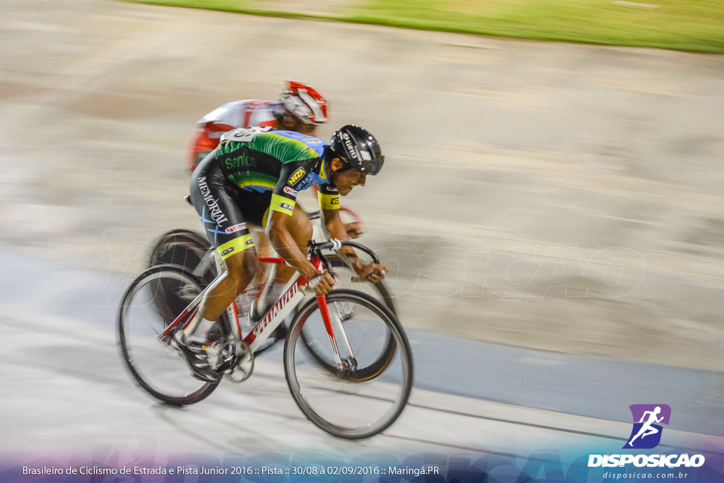 Pista :: Brasileiro de Ciclismo de Estrada e Pista 2016