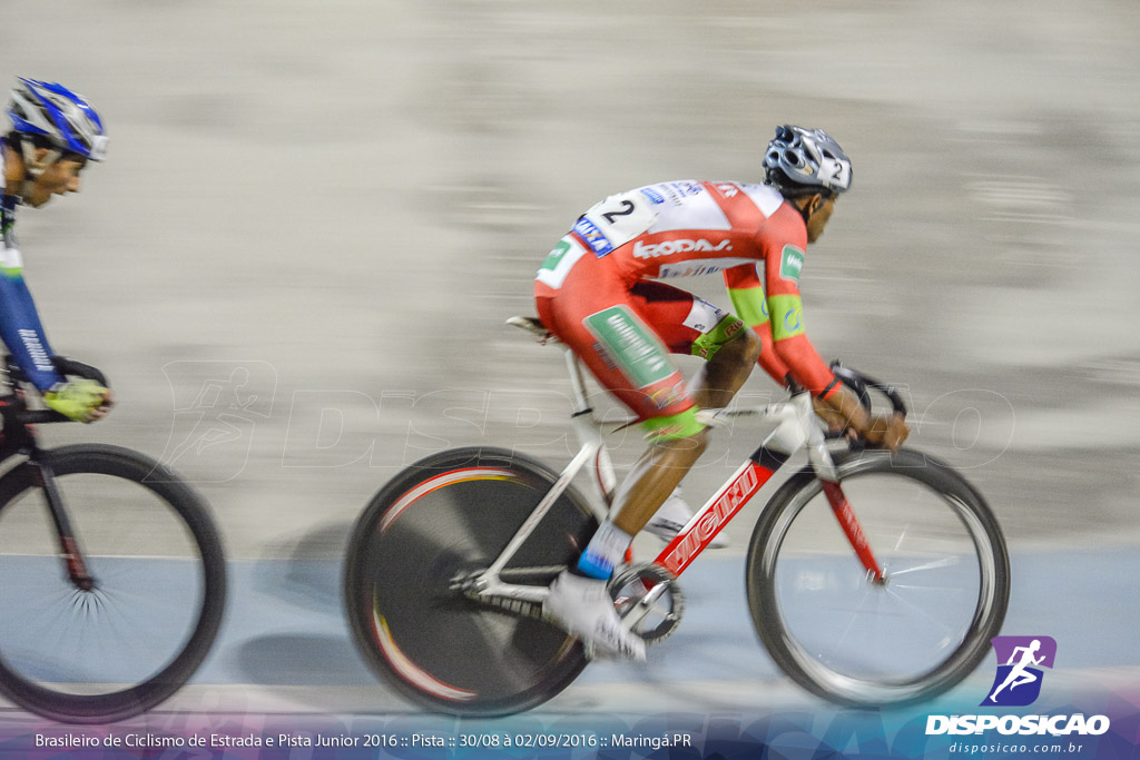 Pista :: Brasileiro de Ciclismo de Estrada e Pista 2016