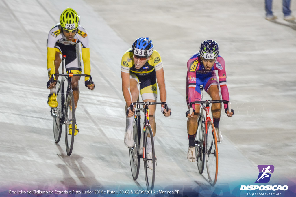 Pista :: Brasileiro de Ciclismo de Estrada e Pista 2016