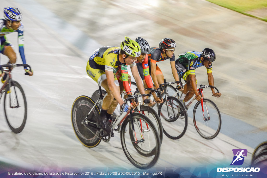 Pista :: Brasileiro de Ciclismo de Estrada e Pista 2016