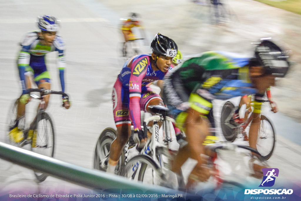 Pista :: Brasileiro de Ciclismo de Estrada e Pista 2016