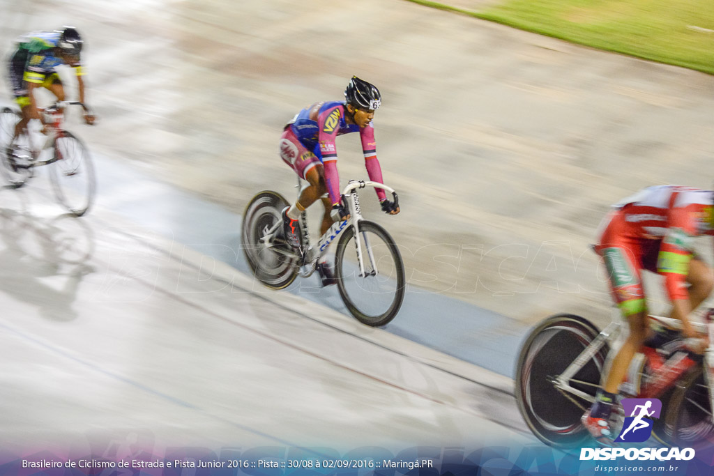 Pista :: Brasileiro de Ciclismo de Estrada e Pista 2016