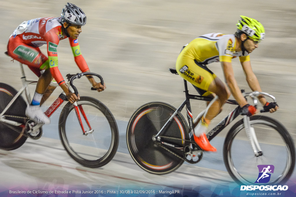 Pista :: Brasileiro de Ciclismo de Estrada e Pista 2016