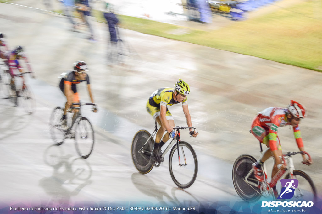 Pista :: Brasileiro de Ciclismo de Estrada e Pista 2016