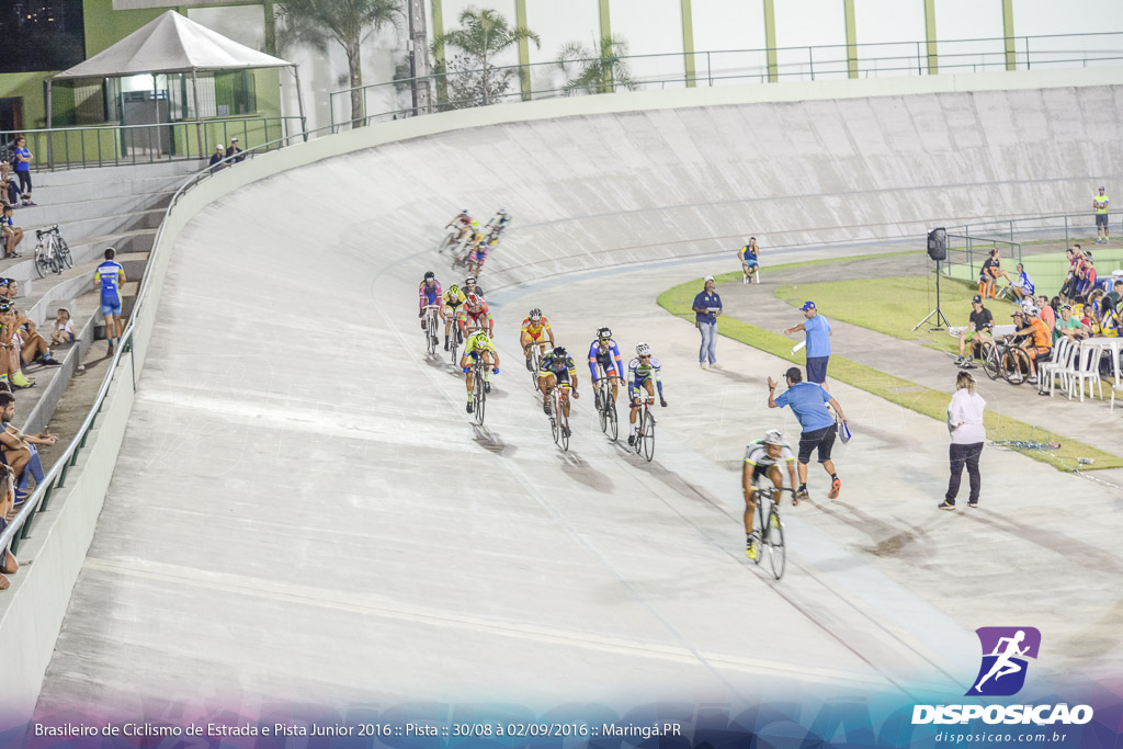 Pista :: Brasileiro de Ciclismo de Estrada e Pista 2016