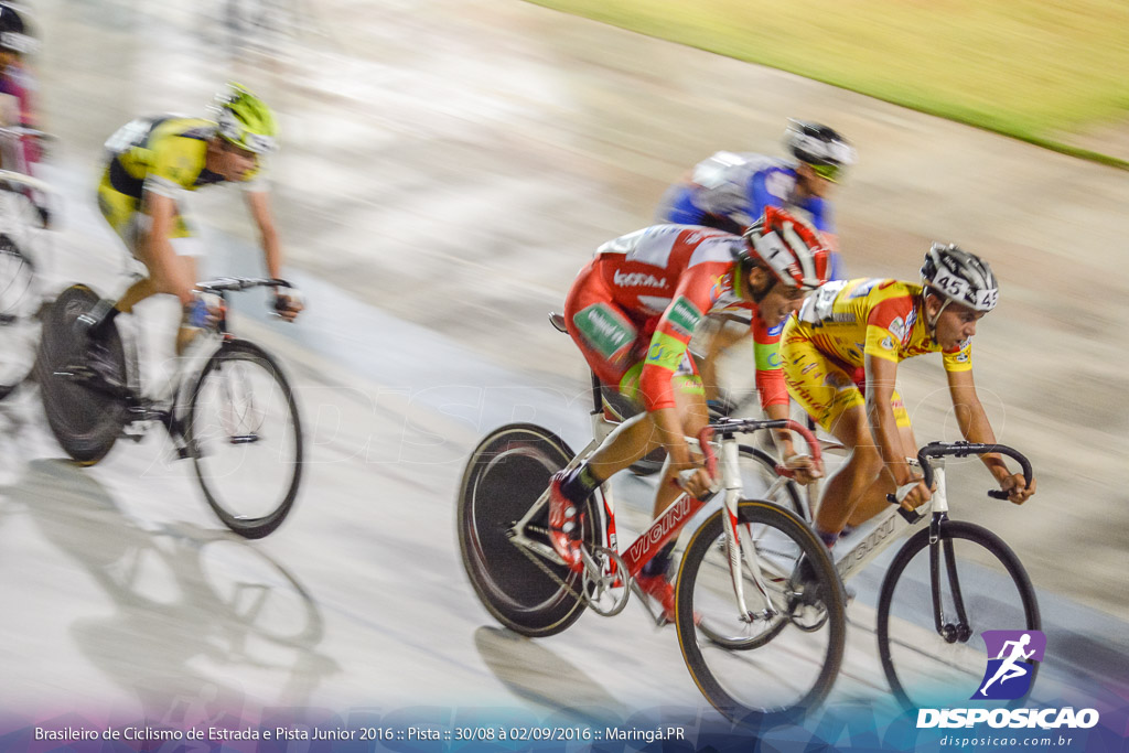 Pista :: Brasileiro de Ciclismo de Estrada e Pista 2016