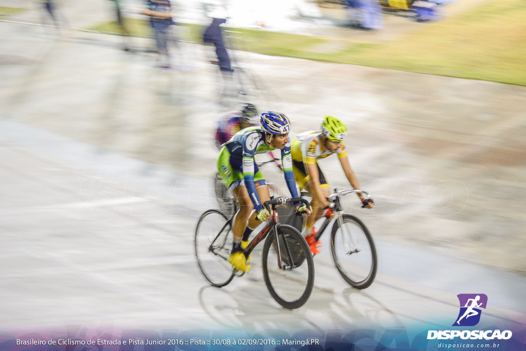 Pista :: Brasileiro de Ciclismo de Estrada e Pista 2016