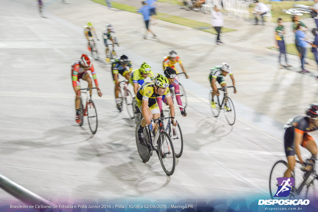 Pista :: Brasileiro de Ciclismo de Estrada e Pista 2016