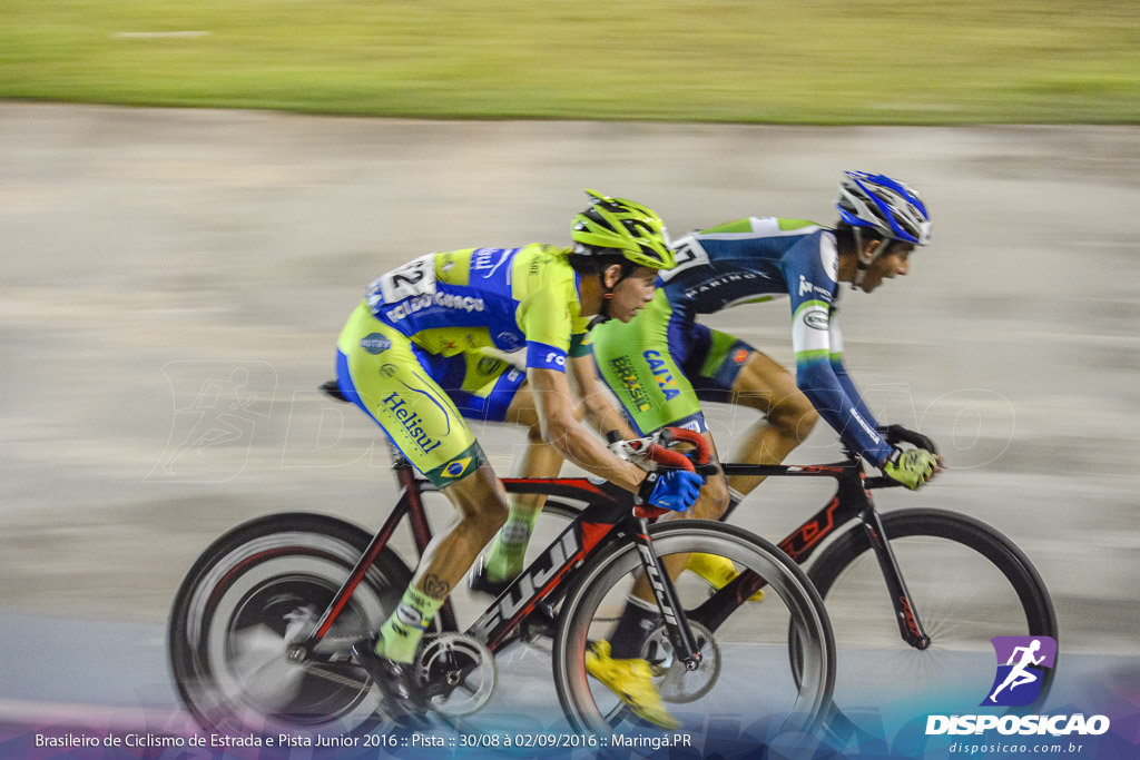 Pista :: Brasileiro de Ciclismo de Estrada e Pista 2016