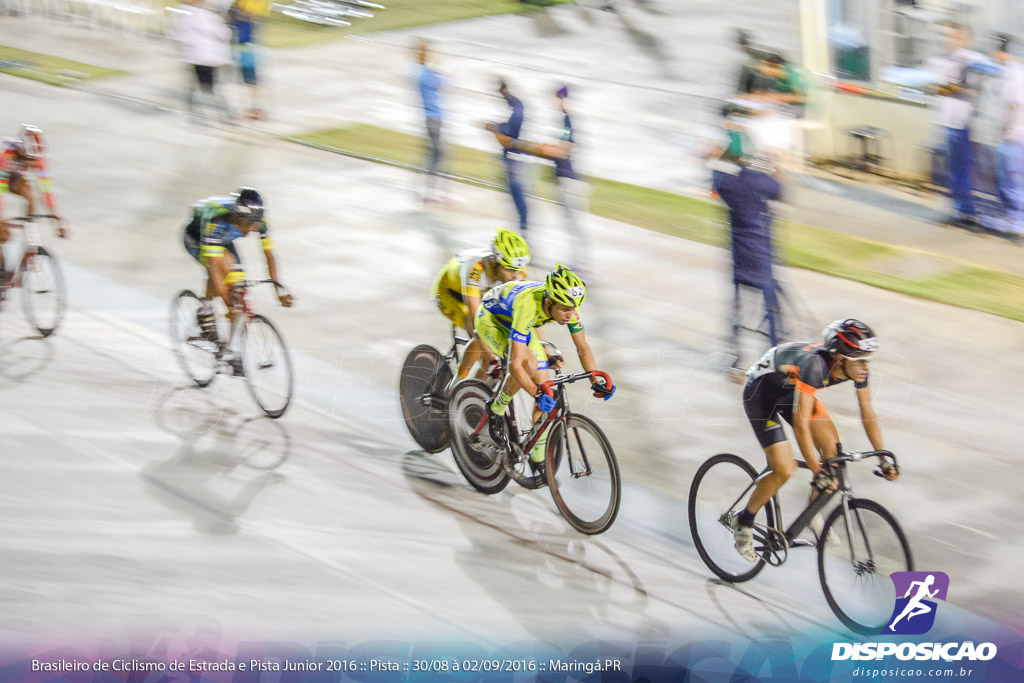 Pista :: Brasileiro de Ciclismo de Estrada e Pista 2016