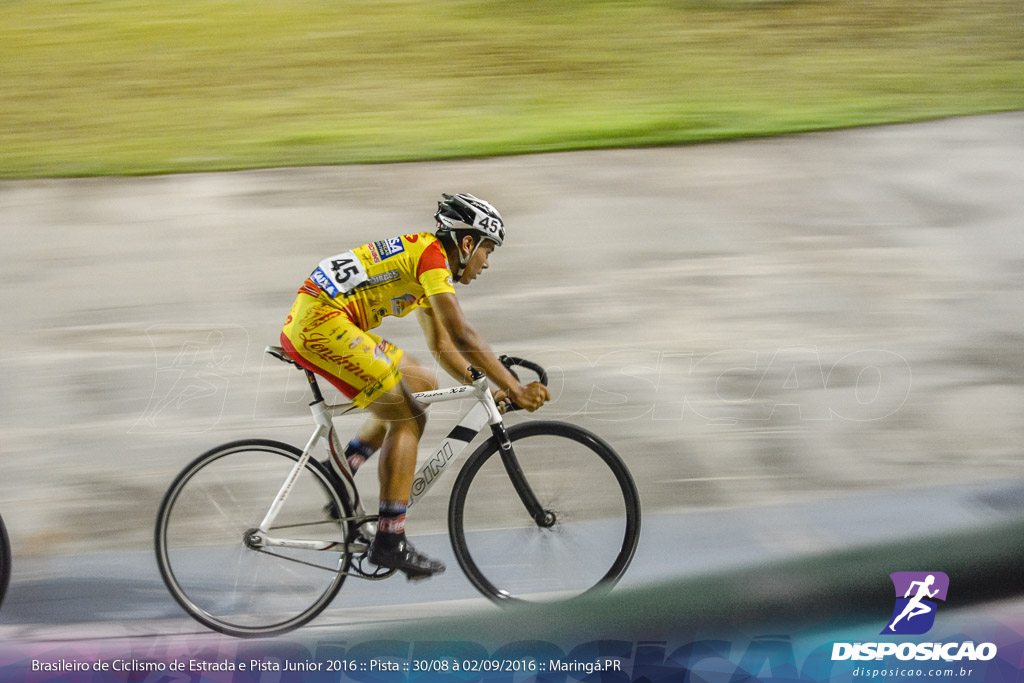 Pista :: Brasileiro de Ciclismo de Estrada e Pista 2016