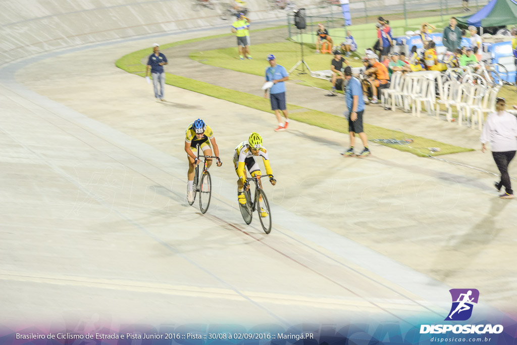 Pista :: Brasileiro de Ciclismo de Estrada e Pista 2016