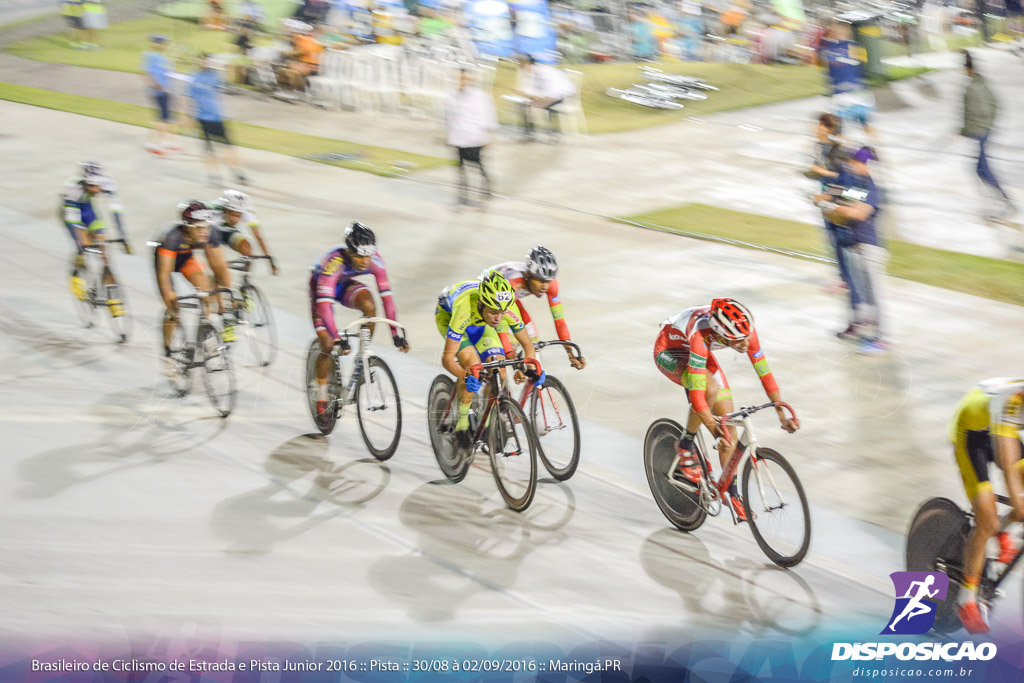 Pista :: Brasileiro de Ciclismo de Estrada e Pista 2016