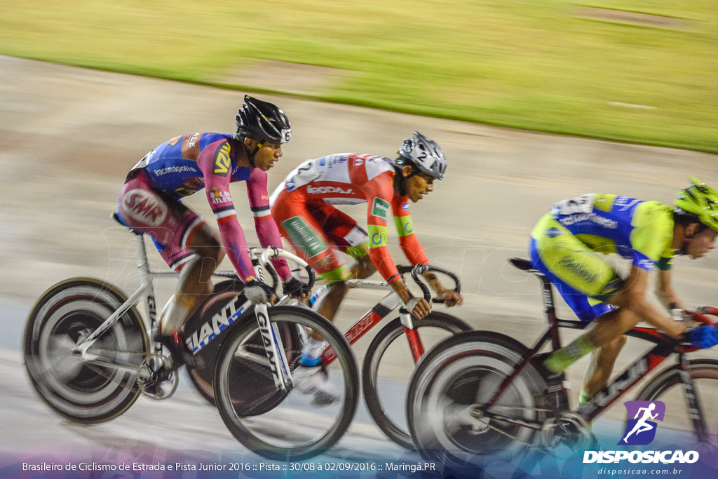 Pista :: Brasileiro de Ciclismo de Estrada e Pista 2016