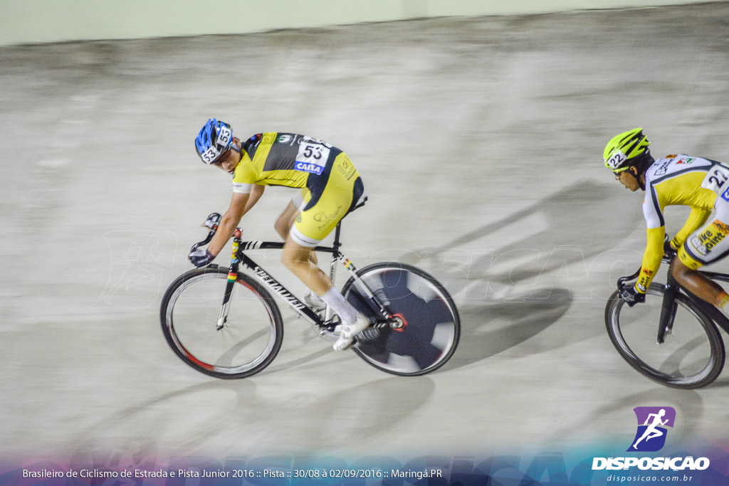 Pista :: Brasileiro de Ciclismo de Estrada e Pista 2016