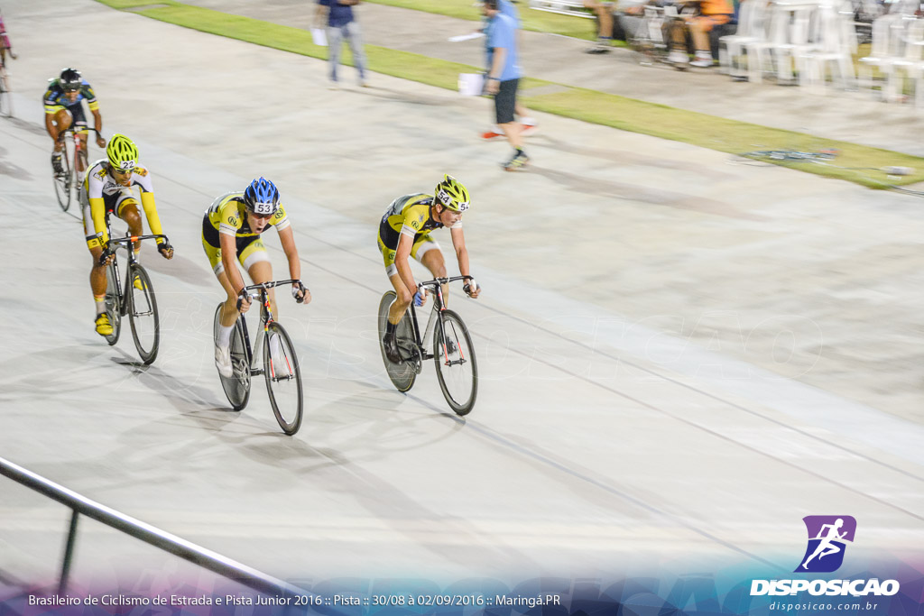 Pista :: Brasileiro de Ciclismo de Estrada e Pista 2016