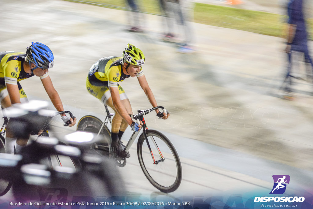 Pista :: Brasileiro de Ciclismo de Estrada e Pista 2016