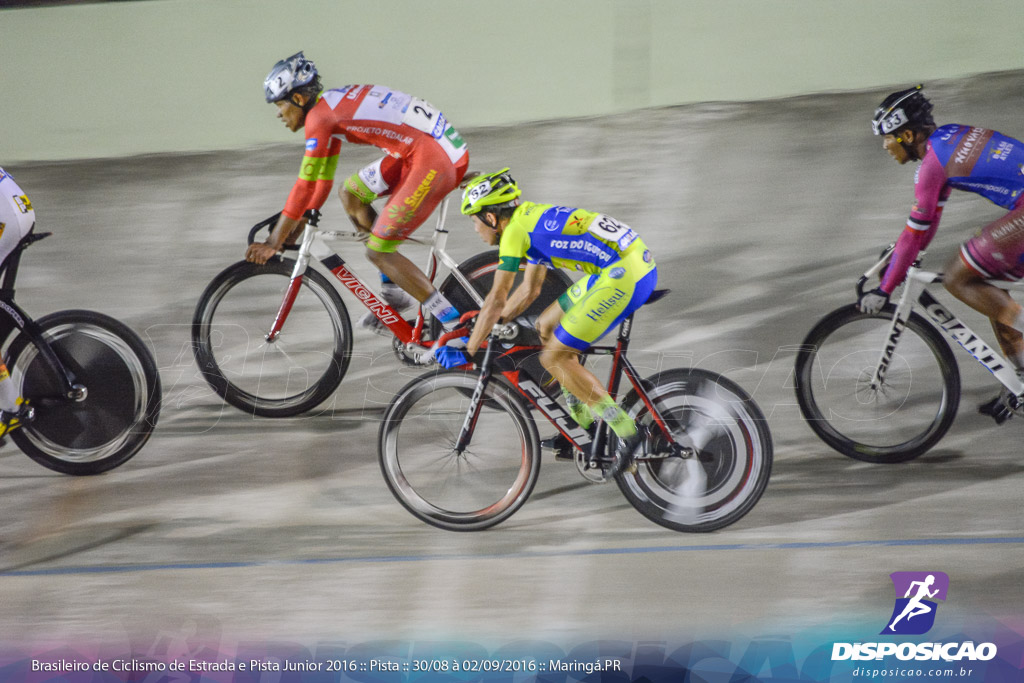 Pista :: Brasileiro de Ciclismo de Estrada e Pista 2016