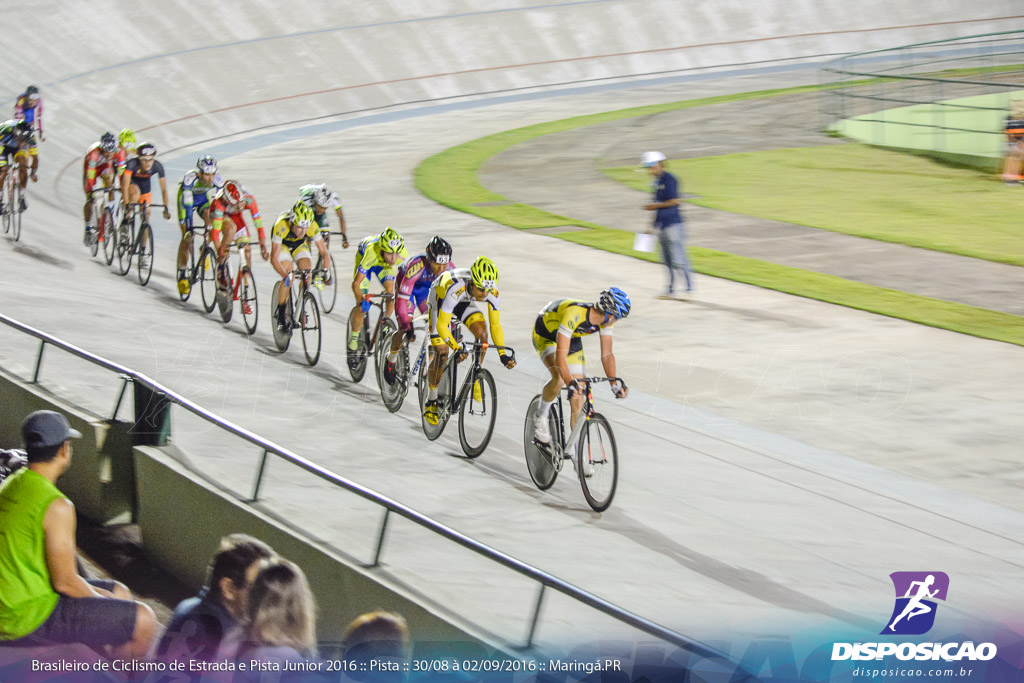 Pista :: Brasileiro de Ciclismo de Estrada e Pista 2016