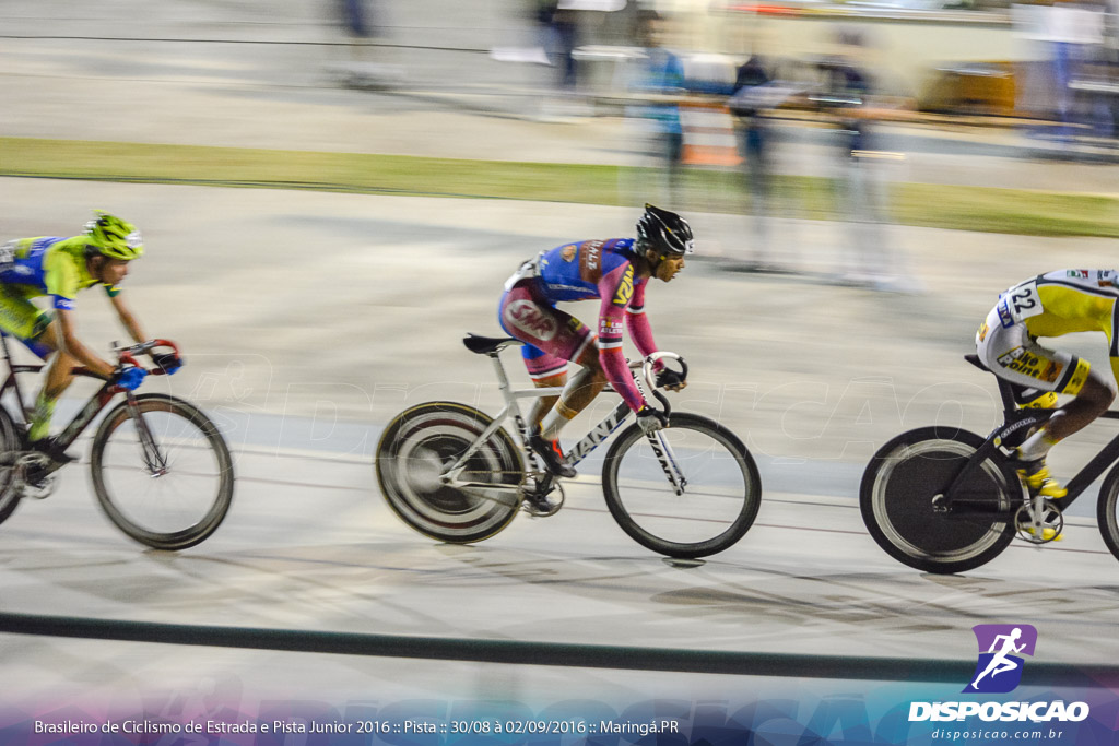 Pista :: Brasileiro de Ciclismo de Estrada e Pista 2016