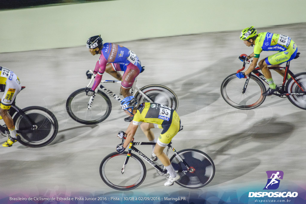 Pista :: Brasileiro de Ciclismo de Estrada e Pista 2016