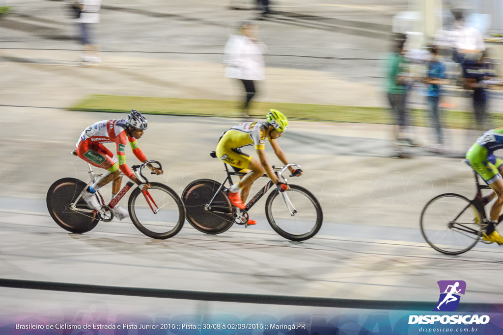 Pista :: Brasileiro de Ciclismo de Estrada e Pista 2016