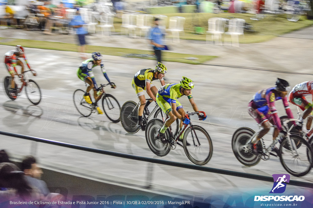 Pista :: Brasileiro de Ciclismo de Estrada e Pista 2016