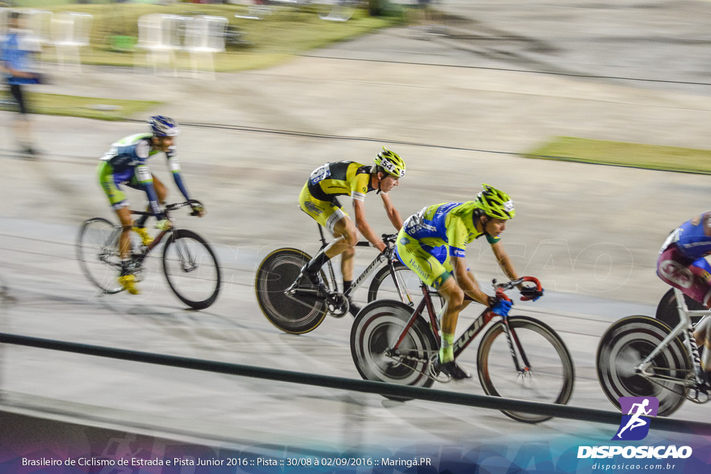 Pista :: Brasileiro de Ciclismo de Estrada e Pista 2016