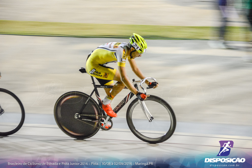 Pista :: Brasileiro de Ciclismo de Estrada e Pista 2016