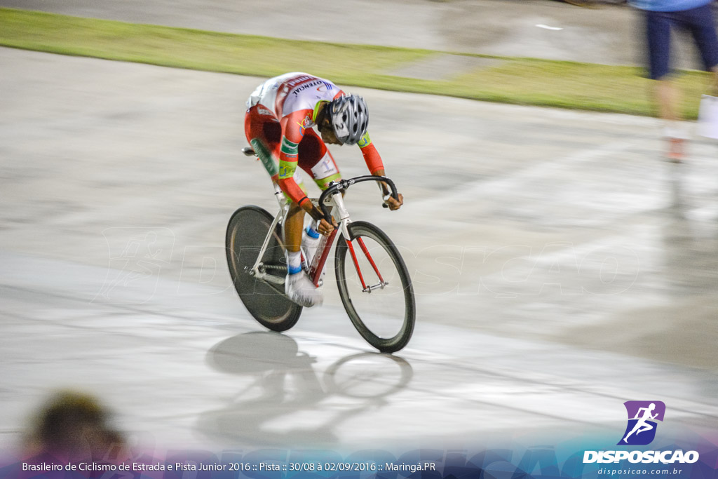 Pista :: Brasileiro de Ciclismo de Estrada e Pista 2016