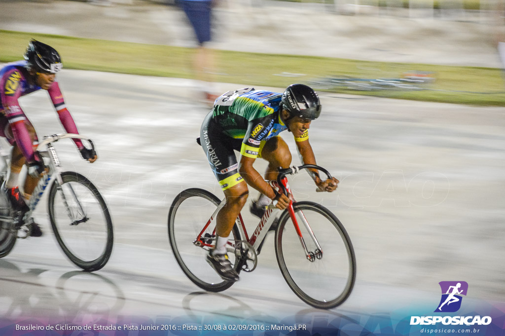 Pista :: Brasileiro de Ciclismo de Estrada e Pista 2016