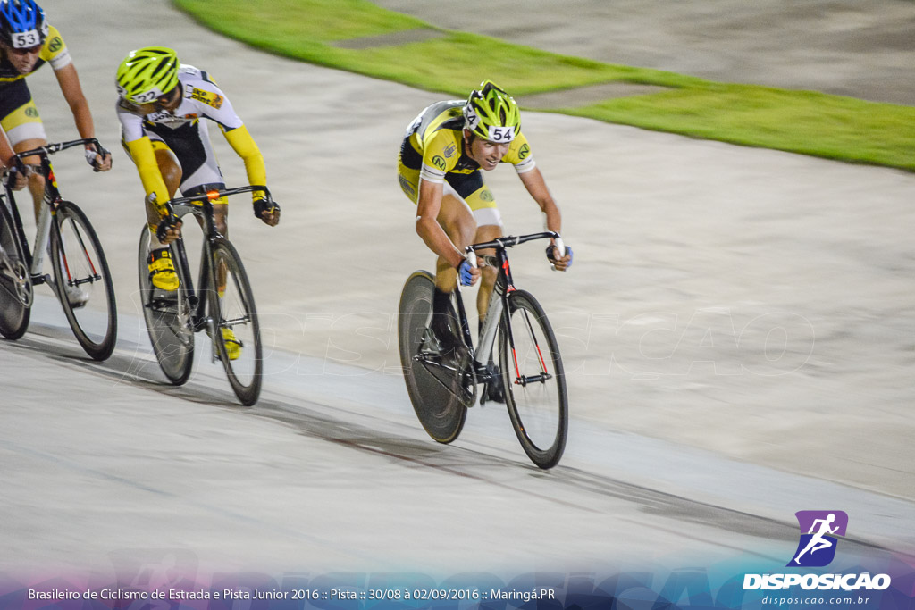 Pista :: Brasileiro de Ciclismo de Estrada e Pista 2016