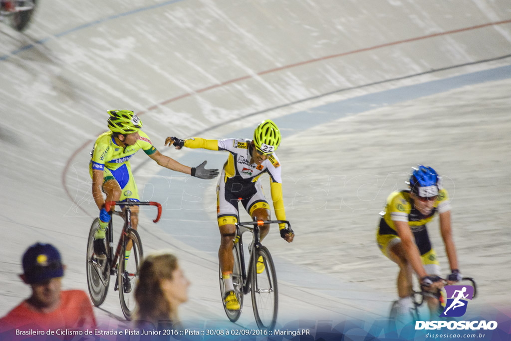 Pista :: Brasileiro de Ciclismo de Estrada e Pista 2016