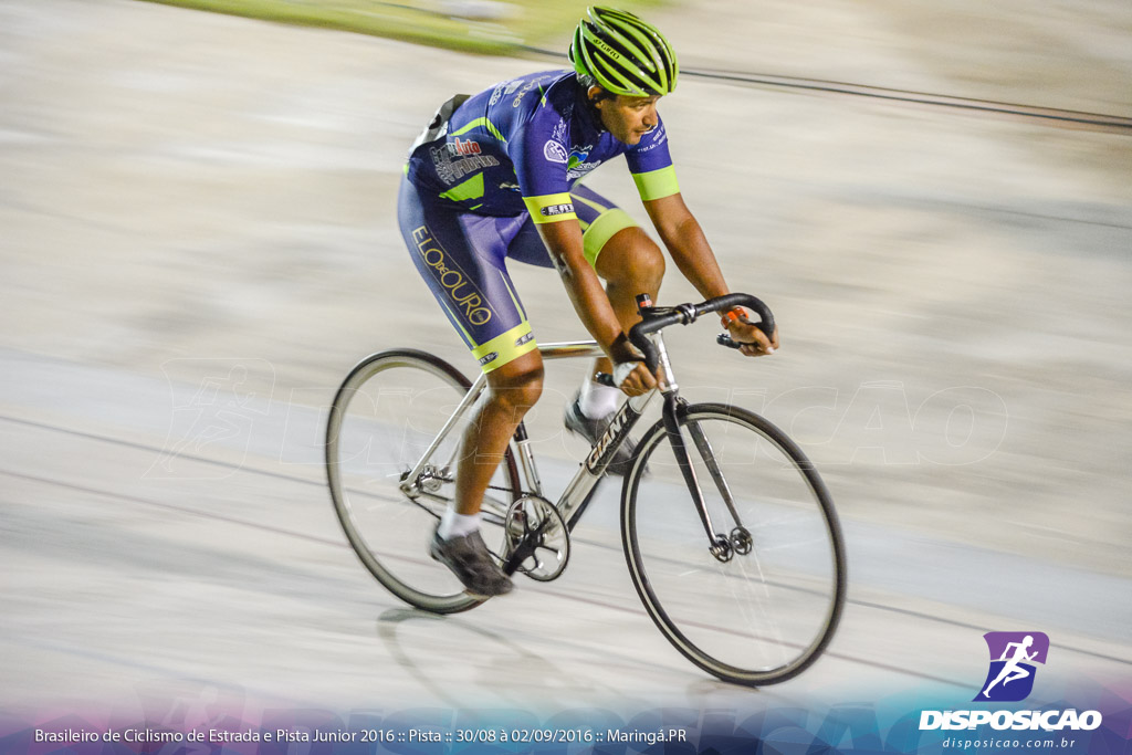 Pista :: Brasileiro de Ciclismo de Estrada e Pista 2016