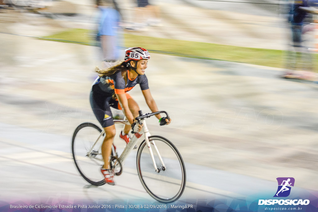 Pista :: Brasileiro de Ciclismo de Estrada e Pista 2016