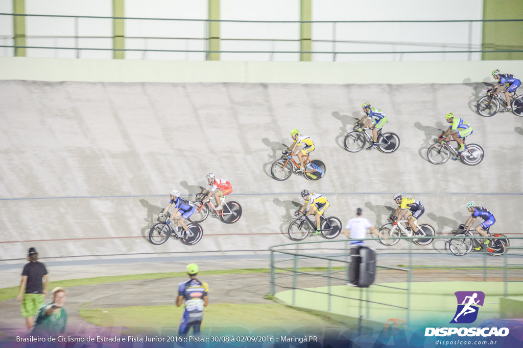 Pista :: Brasileiro de Ciclismo de Estrada e Pista 2016