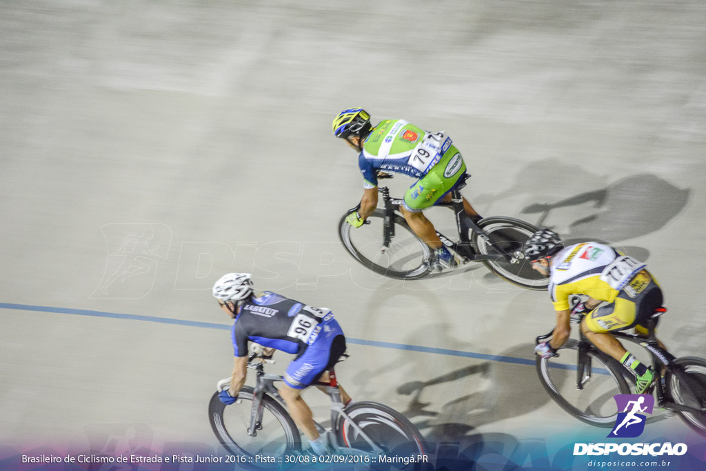 Pista :: Brasileiro de Ciclismo de Estrada e Pista 2016