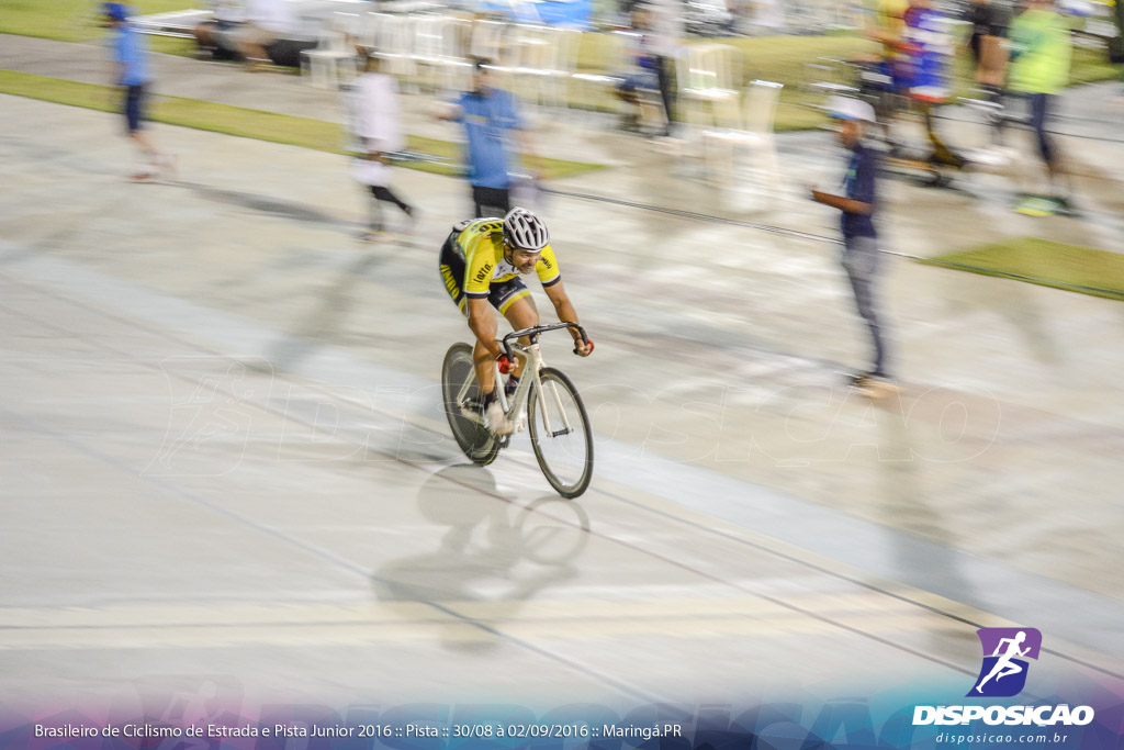 Pista :: Brasileiro de Ciclismo de Estrada e Pista 2016