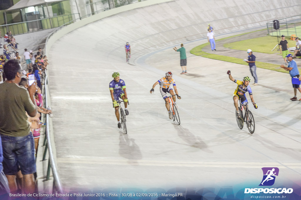 Pista :: Brasileiro de Ciclismo de Estrada e Pista 2016