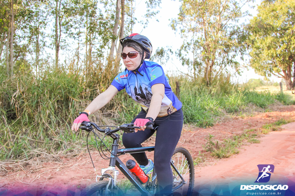 Caminhos da Padroeira 2016