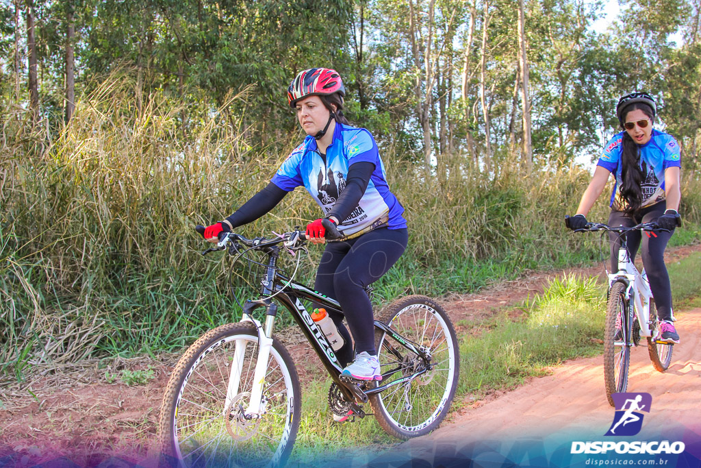 Caminhos da Padroeira 2016