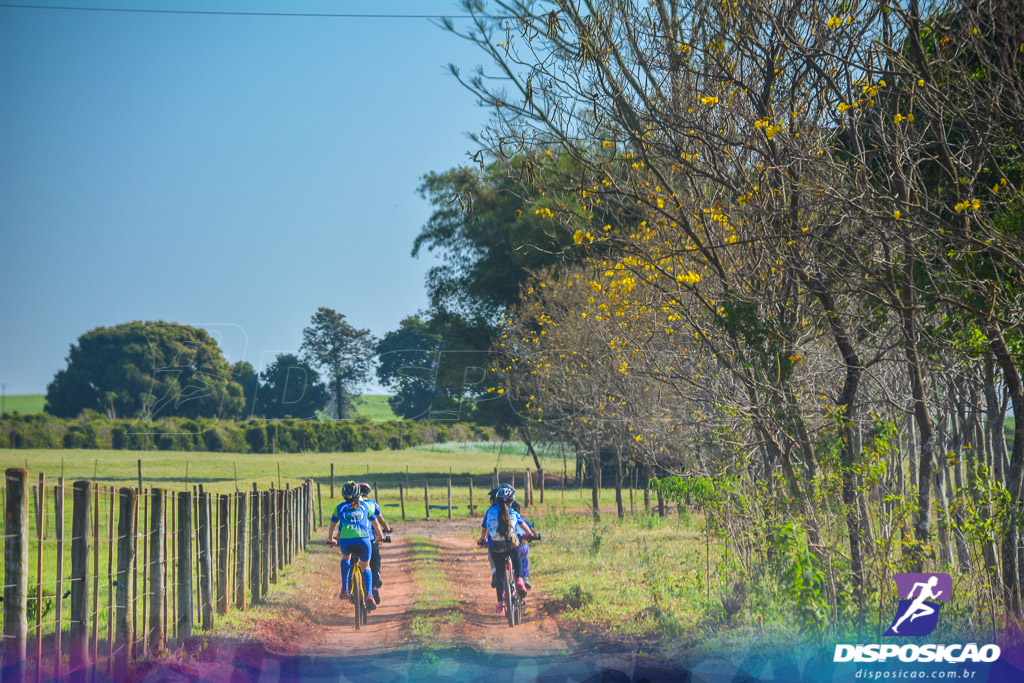 Caminhos da Padroeira 2016