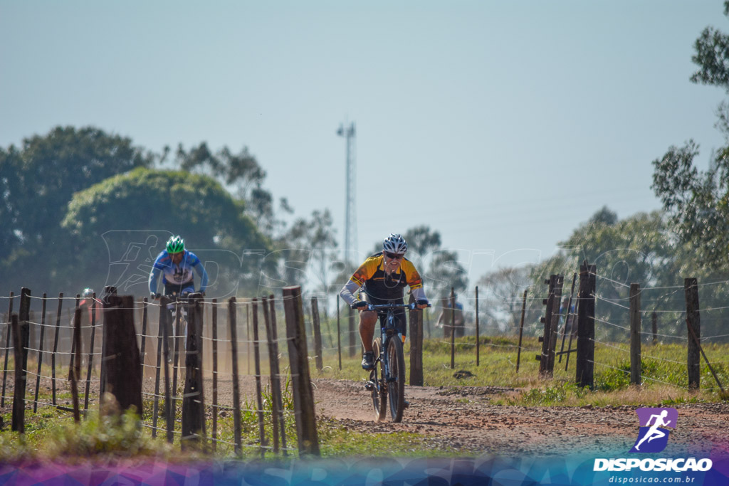 Caminhos da Padroeira 2016