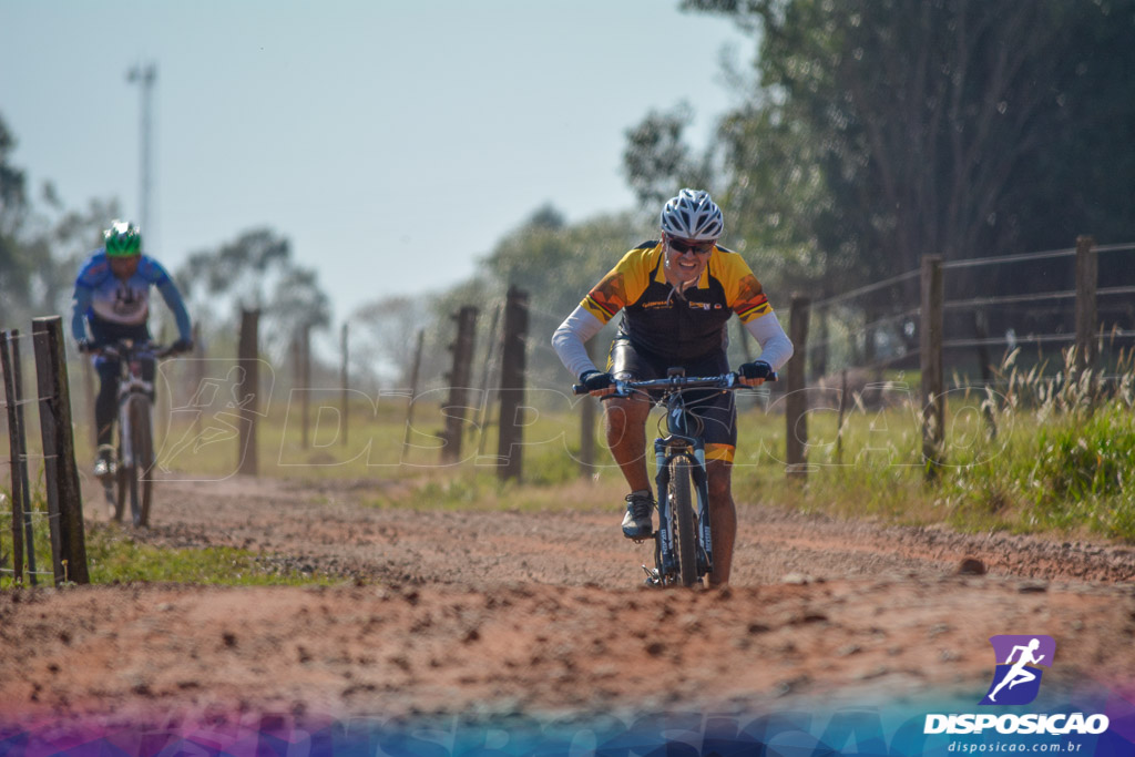 Caminhos da Padroeira 2016