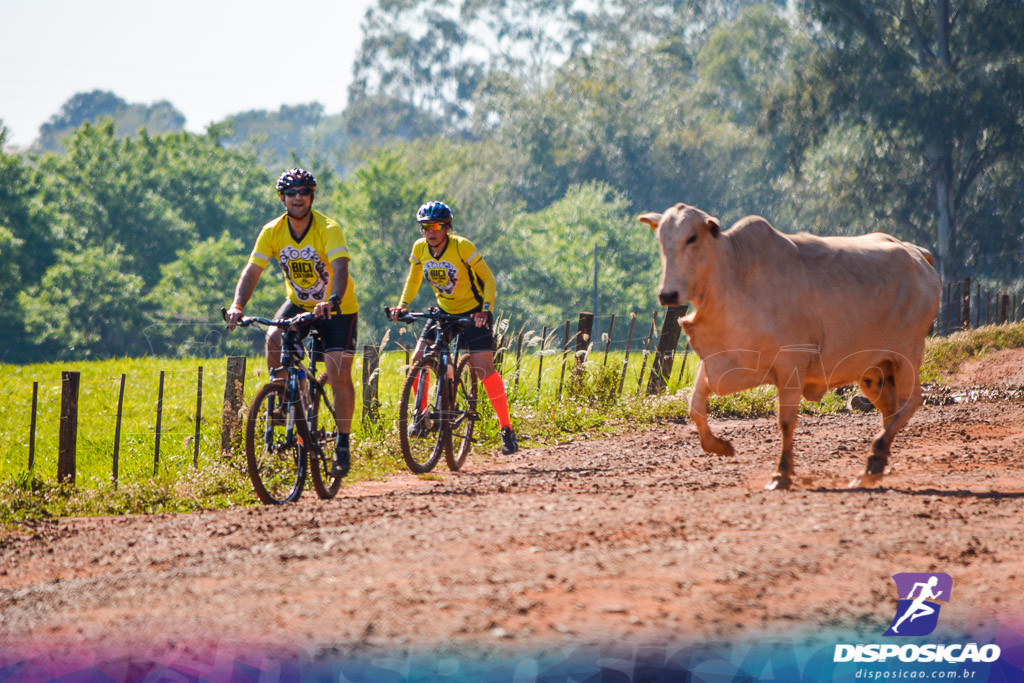 Caminhos da Padroeira 2016