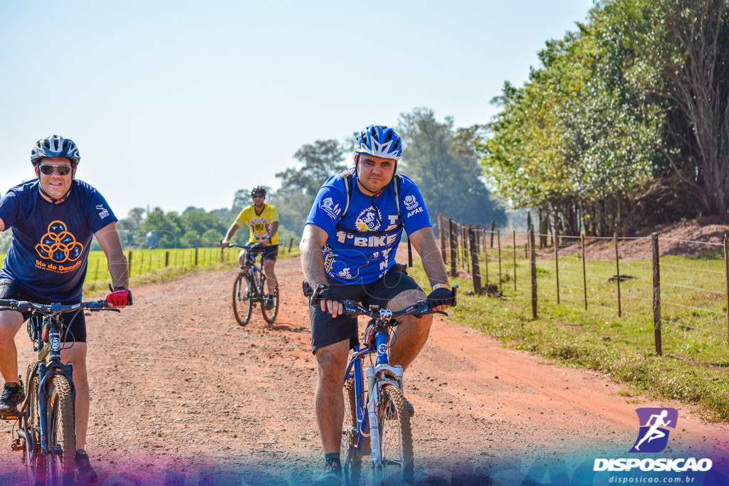 Caminhos da Padroeira 2016