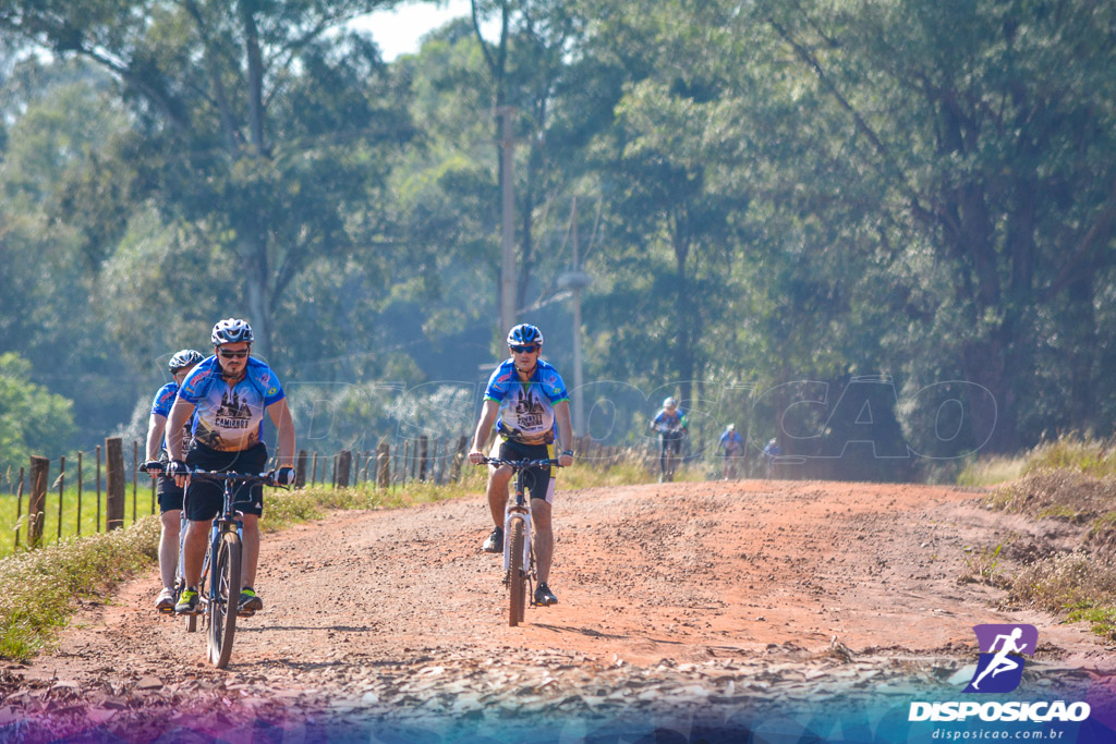 Caminhos da Padroeira 2016