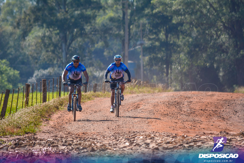 Caminhos da Padroeira 2016