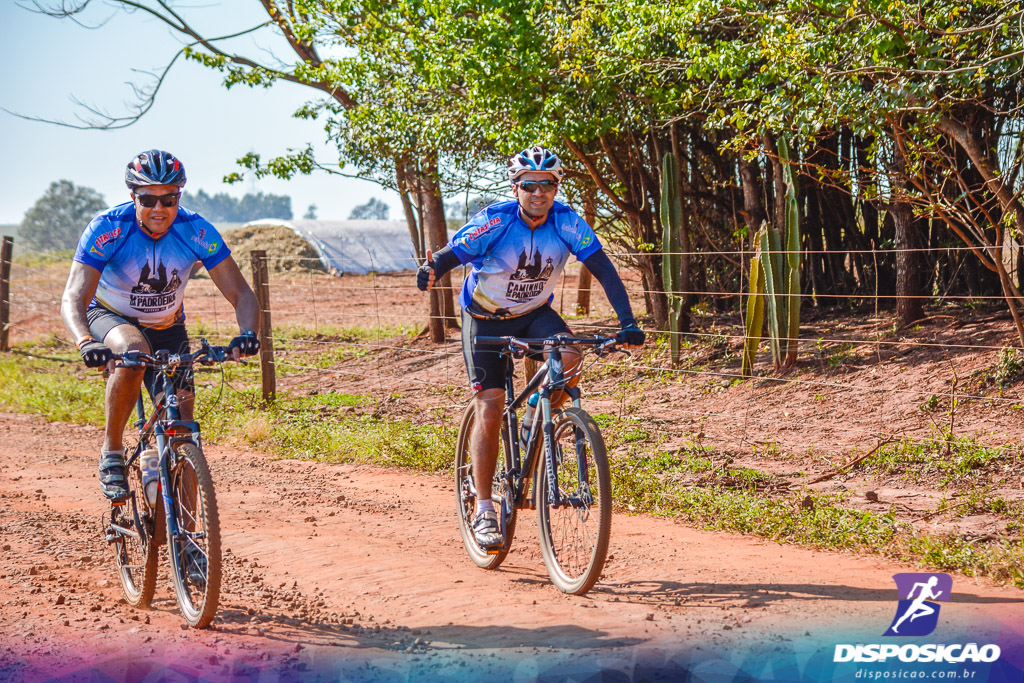 Caminhos da Padroeira 2016